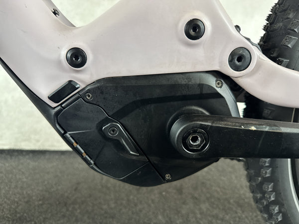 Specialized Levo LTD