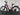 Bifoco — linke_seite