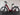 Bifoco — linke_seite