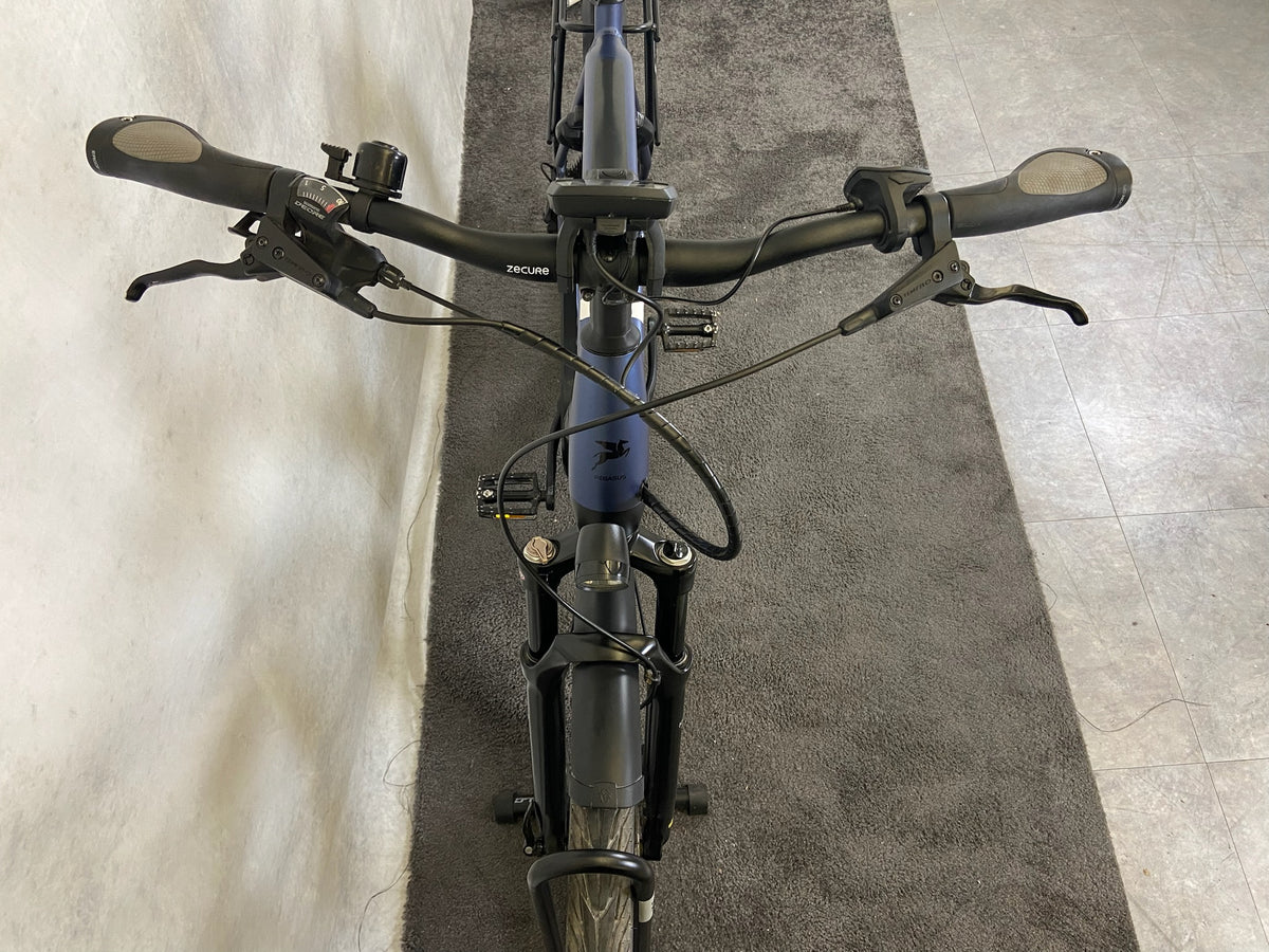 Pegasus Strong EVO 10 Lite