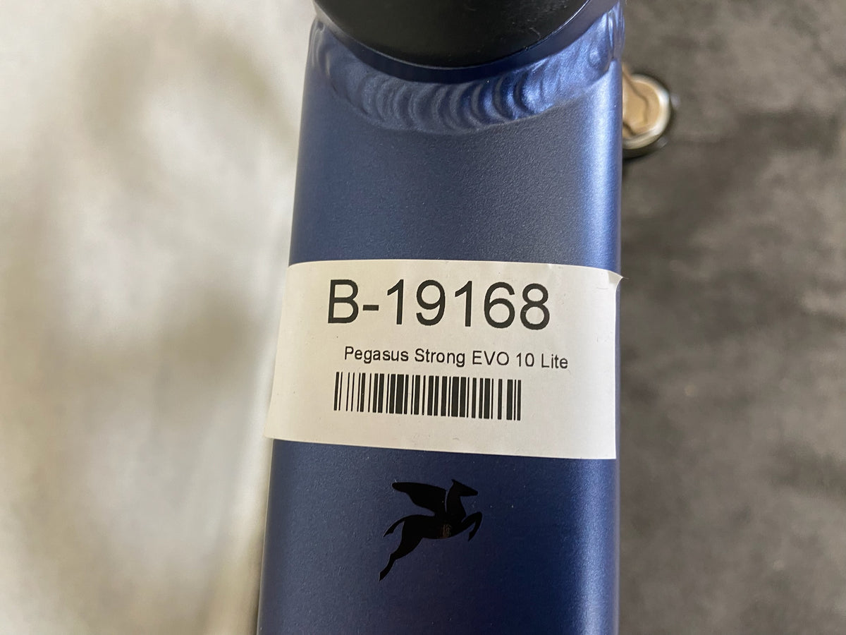 Pegasus Strong EVO 10 Lite