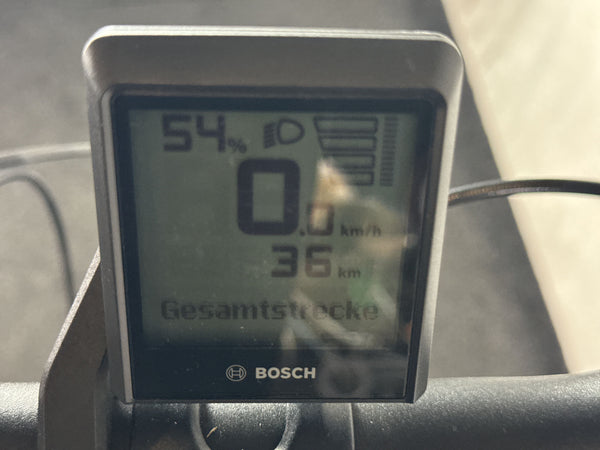 Riese & Müller Nevo4 GT vario