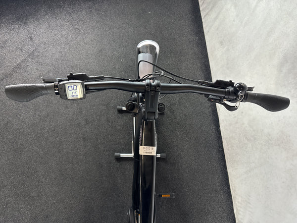 Cannondale Tesoro Neo X 29