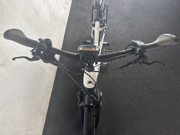 Pegasus Premio EVO 10 Lite