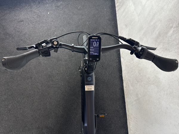 Gazelle Chamonix C5 HMS – Bild 3