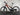 Bifoco — linke_seite
