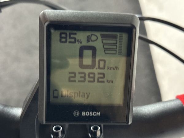 Batavus Altura Power Pro – Bild 4