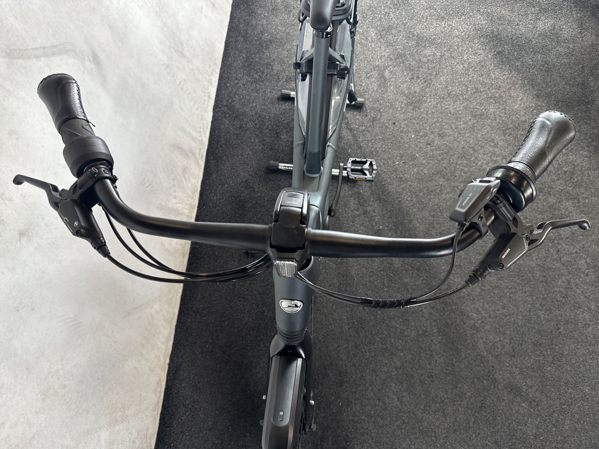 Bifoco — cockpit_von_vorne