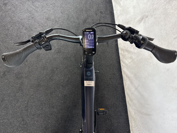 Gazelle Chamonix C5 – Bild 3