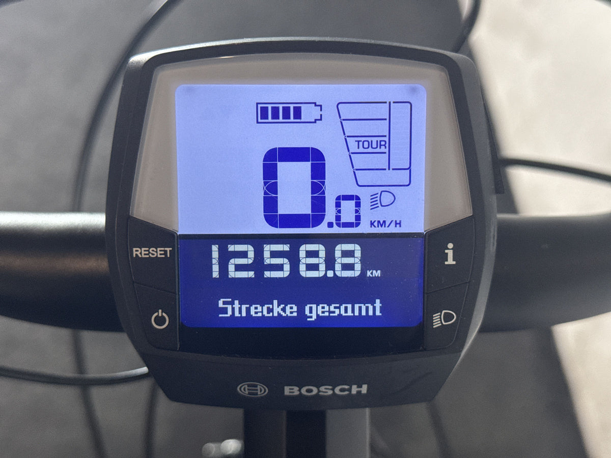Riese & Müller Cruiser Mixte silent gebraucht – Display
