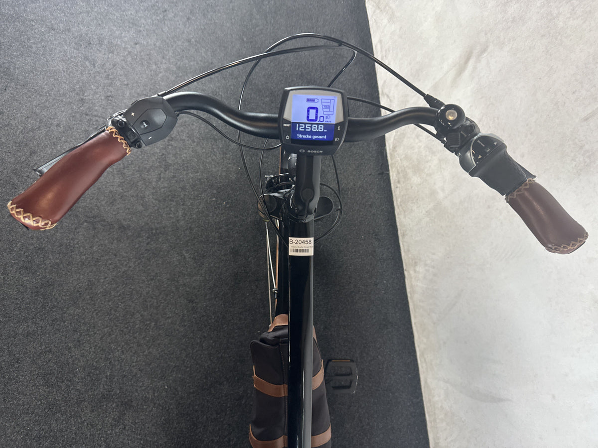 Riese & Müller Cruiser Mixte silent gebraucht – Cockpit aus Fahrersicht