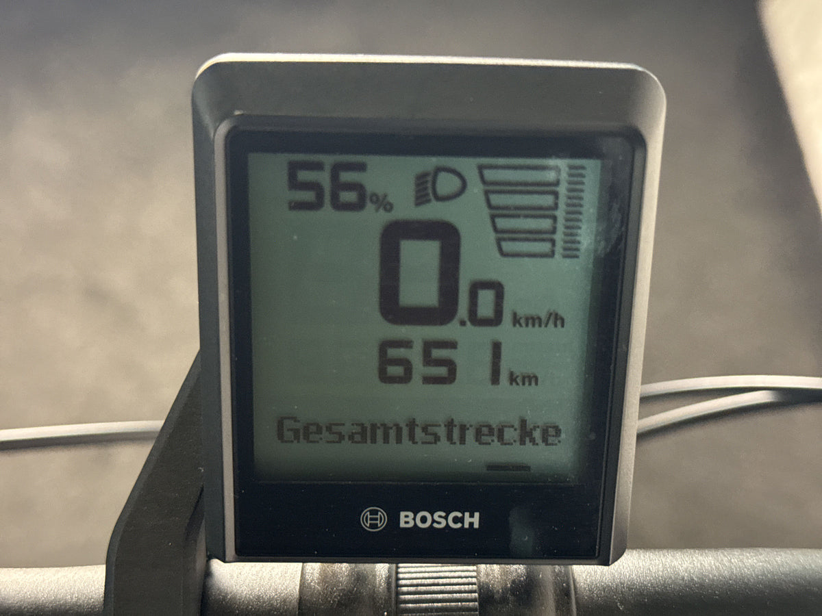Kalkhoff Endeavour 3.B Move gebraucht – Display