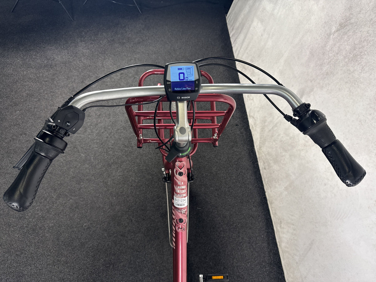 Gazelle Miss Grace C7+ HMB R7H gebraucht – Cockpit aus Fahrersicht