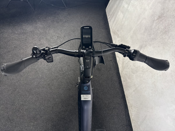 Gazelle Chamonix C5 HMS – Bild 3