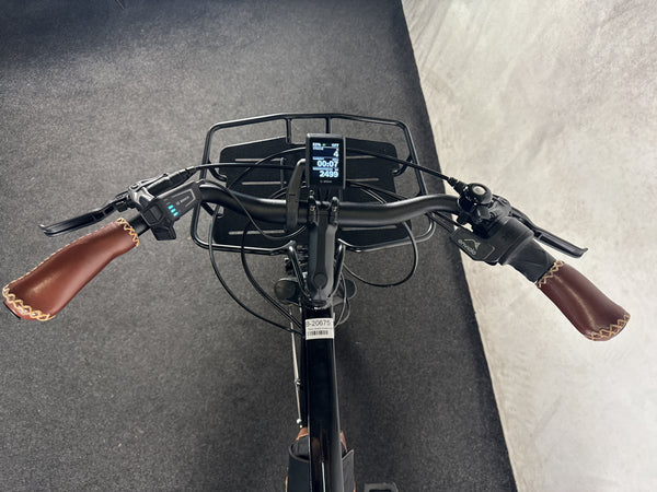 Riese & Müller Cruiser2 vario – Bild 3