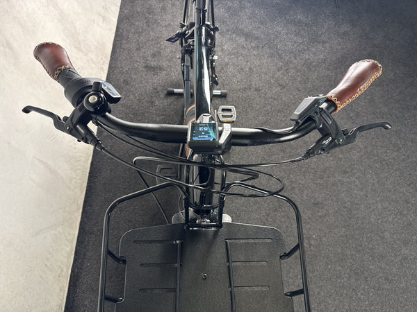Riese & Müller Cruiser2 vario – Bild 5