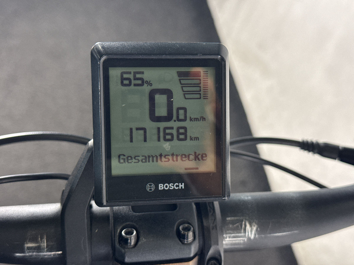 Advanced Trekking Pro Wave gebraucht – Display