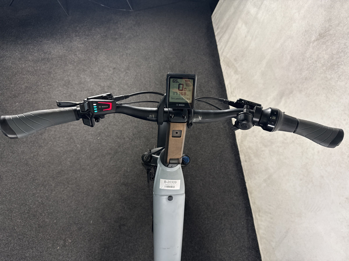 Advanced Trekking Pro Wave gebraucht – Cockpit aus Fahrersicht