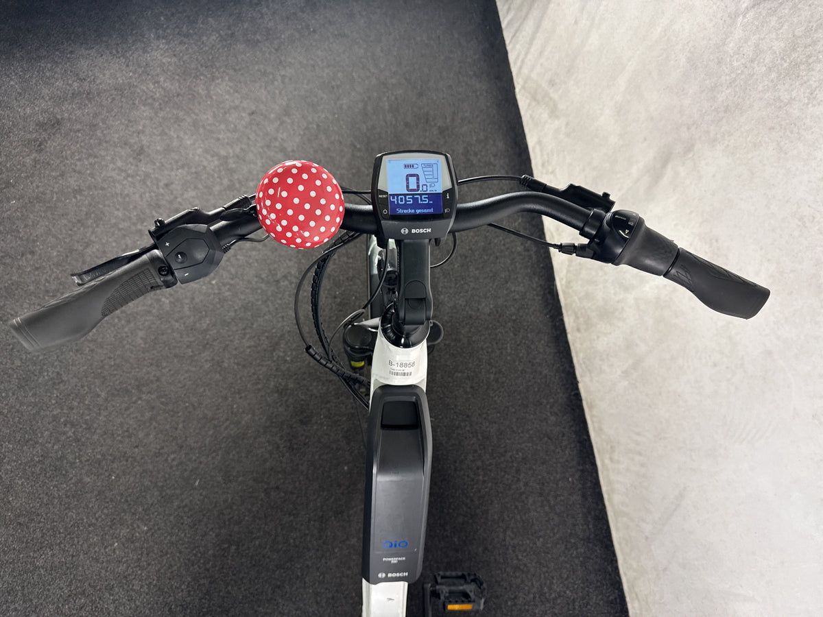 Falter E 9.0 gebraucht – Cockpit aus Fahrersicht
