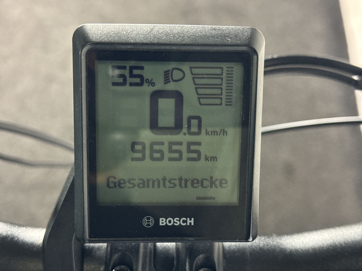 Winora Sinus R8E gebraucht – Display