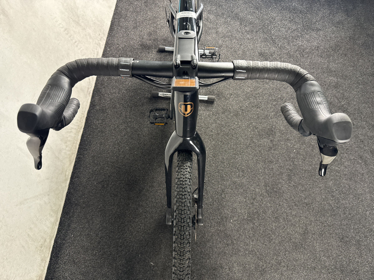 Mondraker Dusty gebraucht – Cockpit von vorne