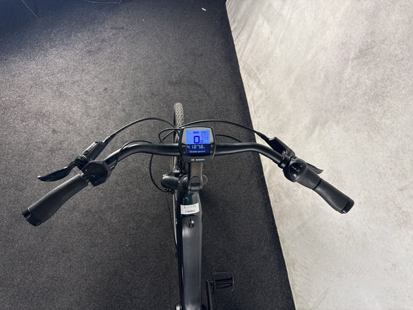 Batavus Finez – Bild 3