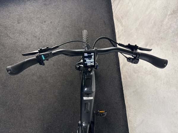 Simplon Chenoa e:Low Premium E14 – Bild 3