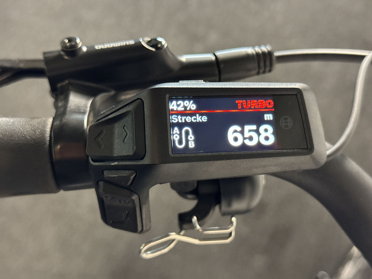 Velo De Ville SEB 890 Pure gebraucht – Display