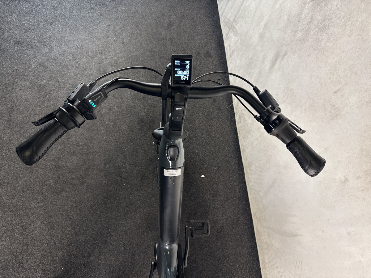 Gazelle Arroyo Elite C5 gebraucht – Cockpit aus Fahrersicht