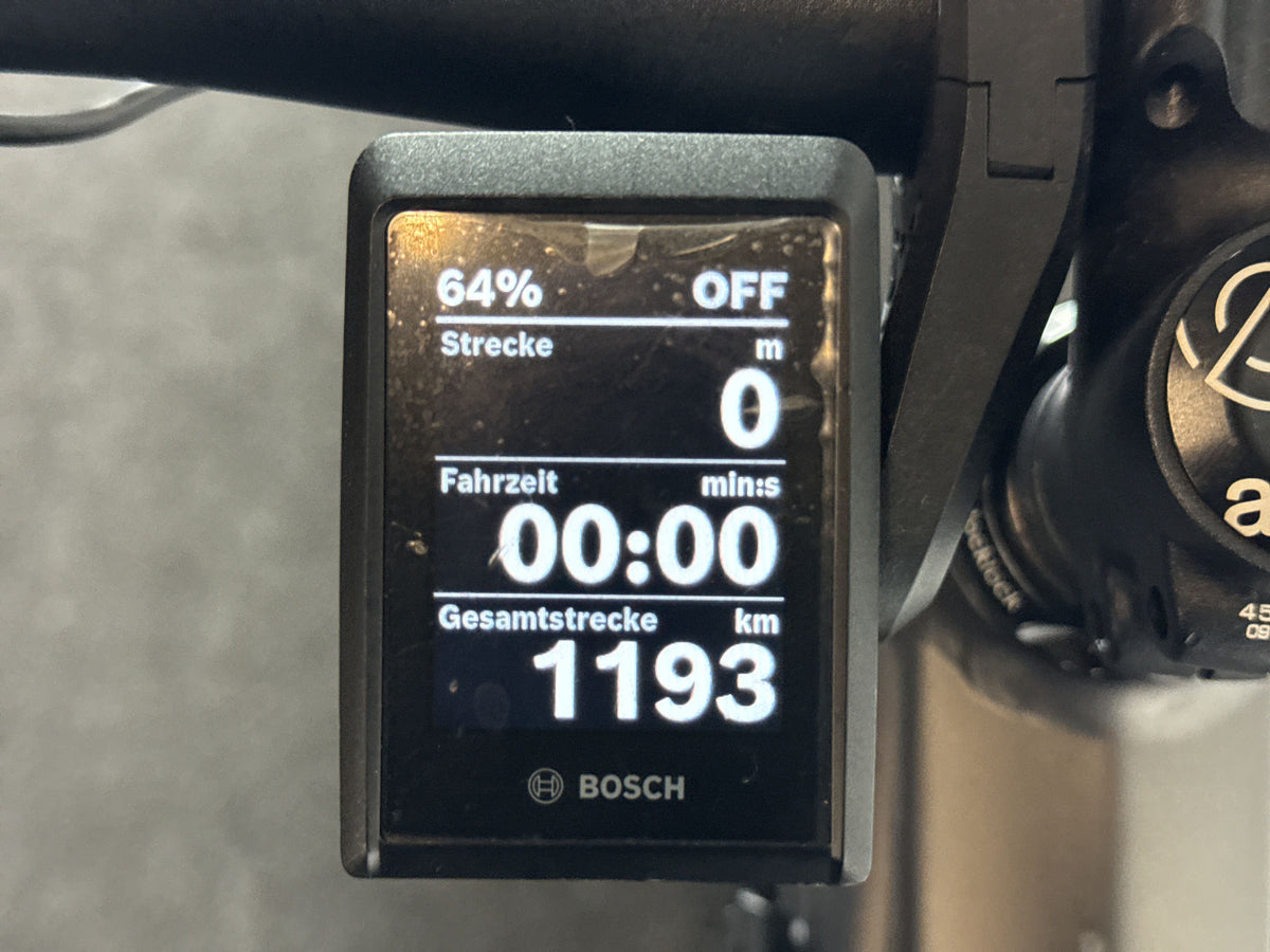 Ghost E-Riot Trail AL Essential gebraucht – Display