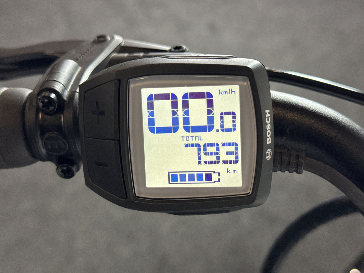 Triumph E-Cloud Plus 4 gebraucht – Display