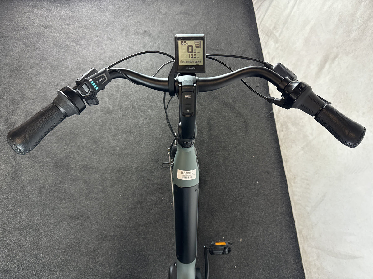 Gazelle Arroyo C5 HMB gebraucht – Cockpit aus Fahrersicht