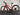Bifoco — linke_seite