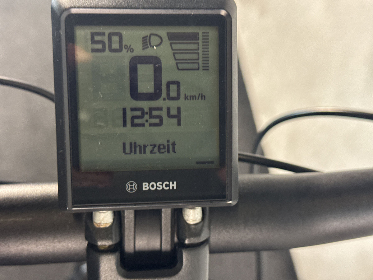 Bulls Iconic EVO TR1 gebraucht – Display