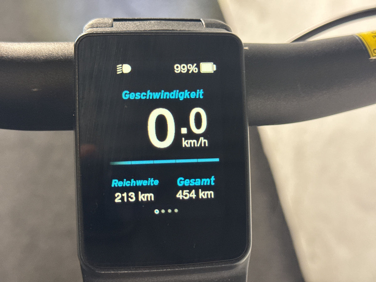 Giant Explore E+ Pro 0 gebraucht – Display