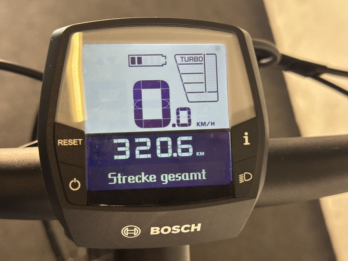 Pegasus Solero EVO 8F gebraucht – Display