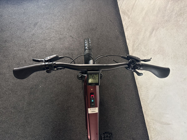Bulls Iconic EVO – Bild 3