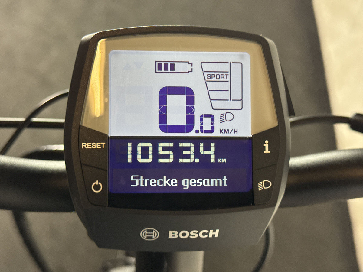 Pegasus Solero EVO 8F gebraucht – Display