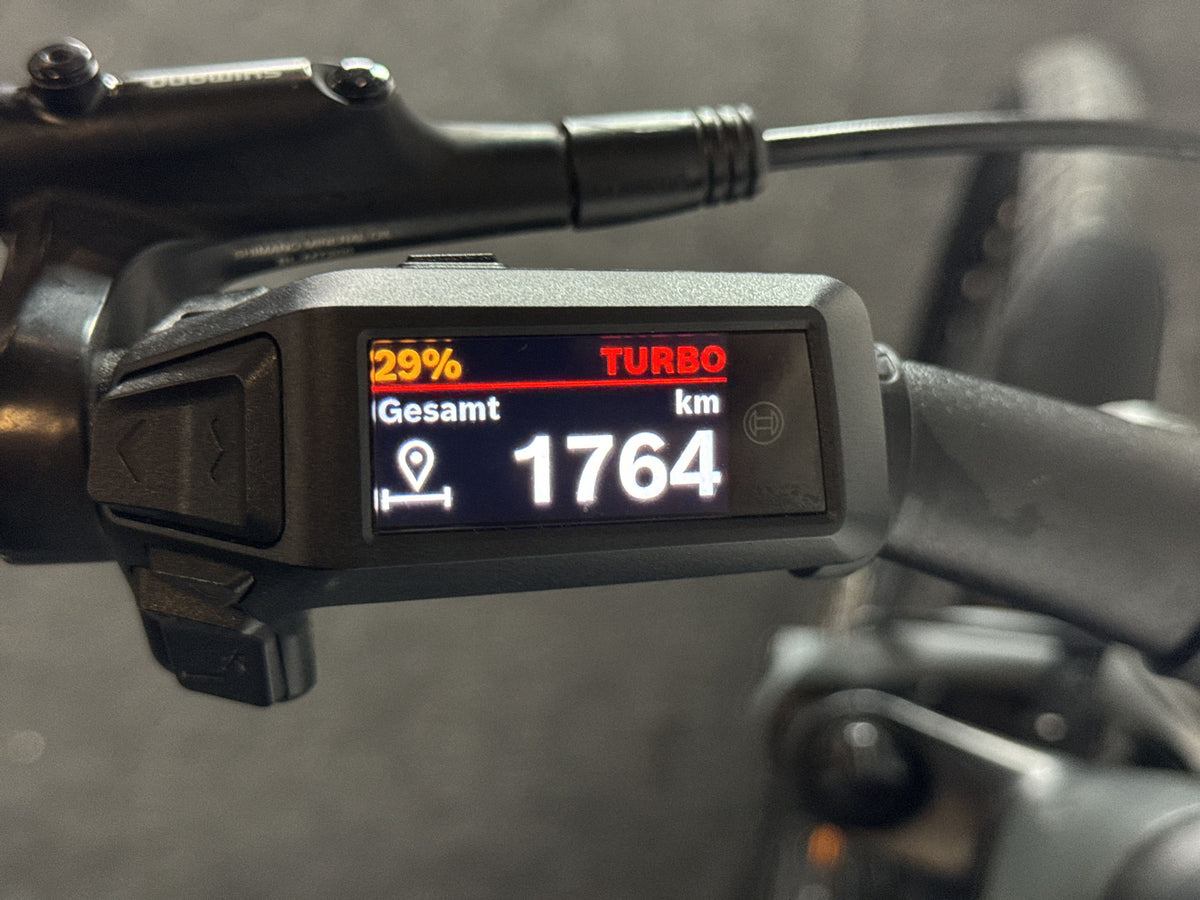 CUBE Kathmandu Hybrid ONE 800 gebraucht – Display