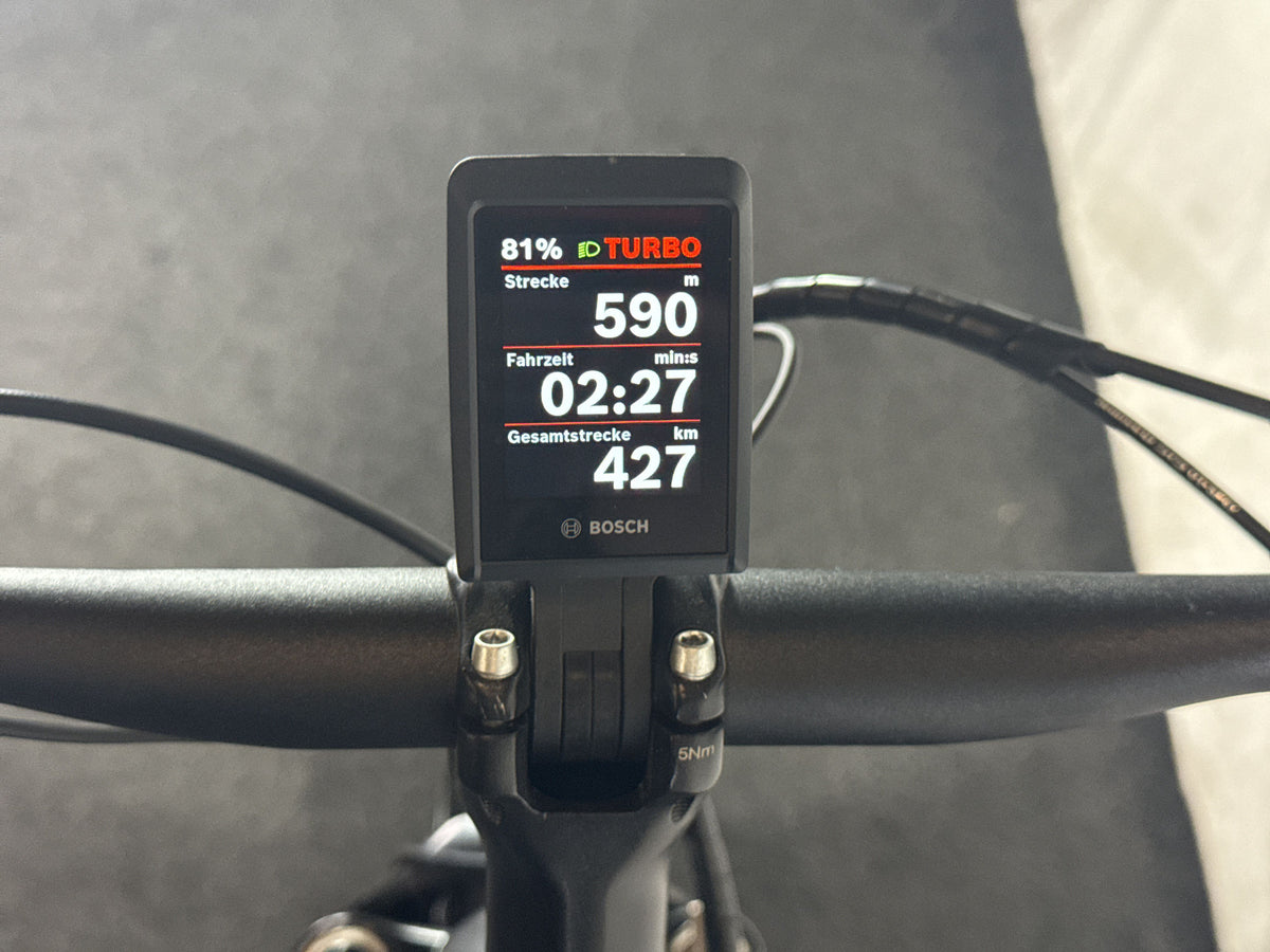 Bulls Cross Lite Evo 1 750 gebraucht – Display