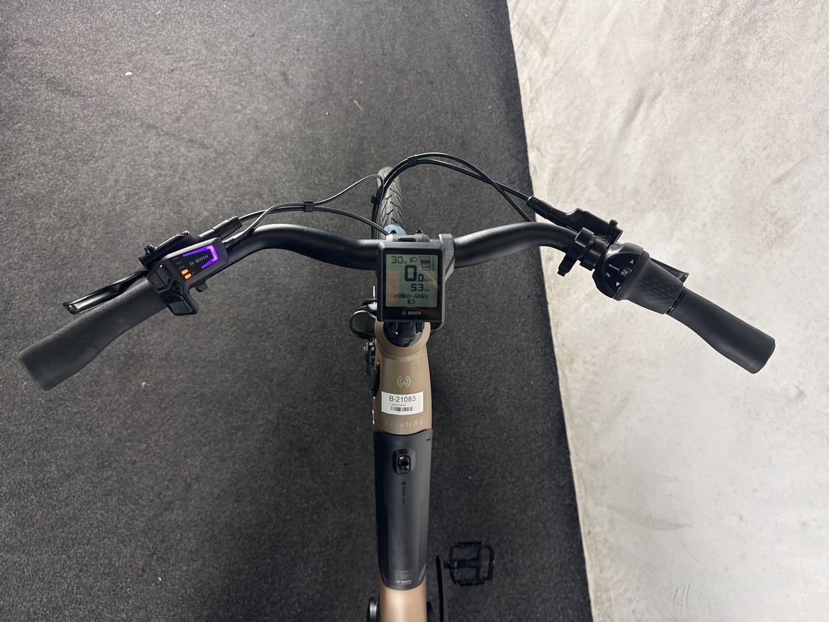 Winora Tria N8 E gebraucht – Cockpit aus Fahrersicht