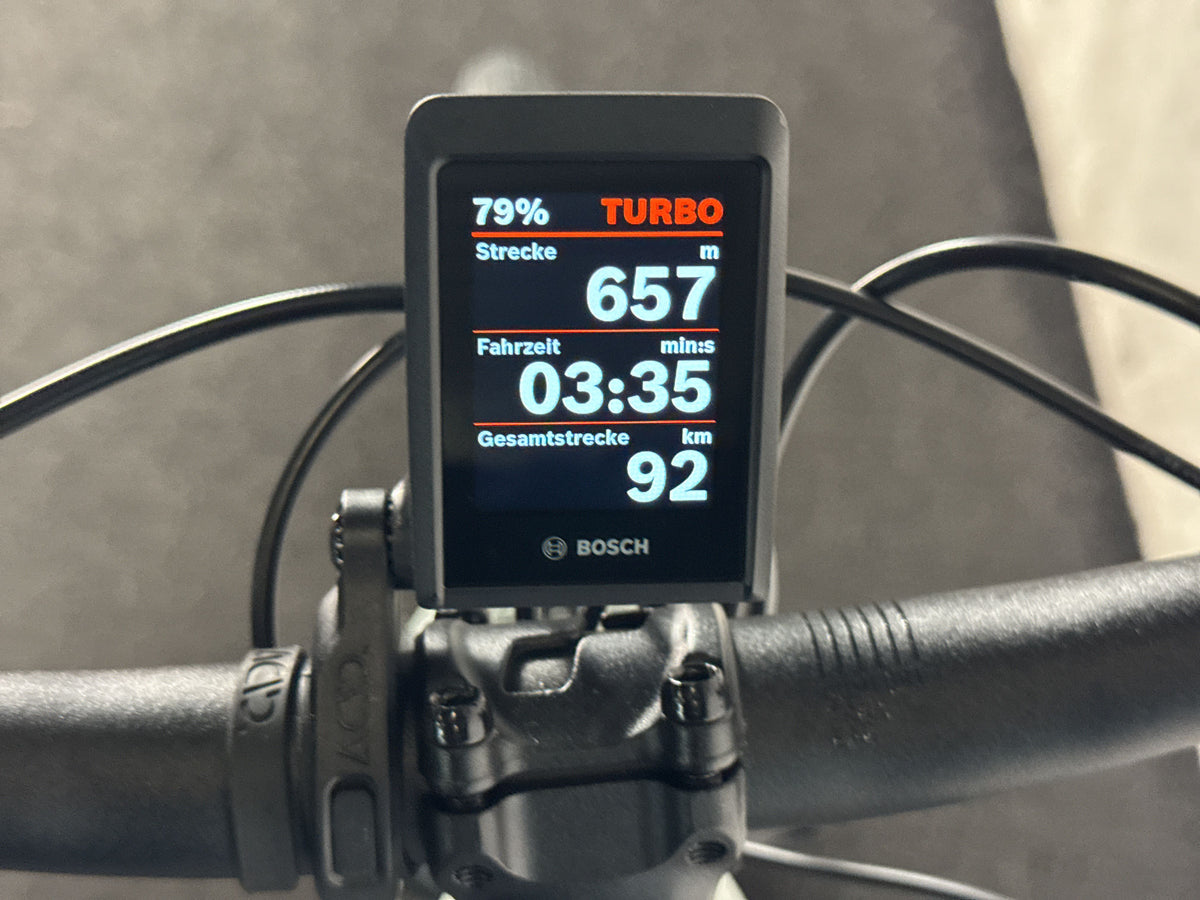 CUBE Kathmandu Hybrid EX 800 gebraucht – Display