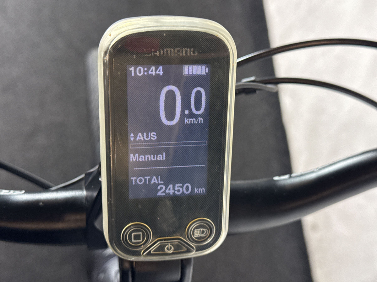 Gazelle Chamonix C5 gebraucht – Display
