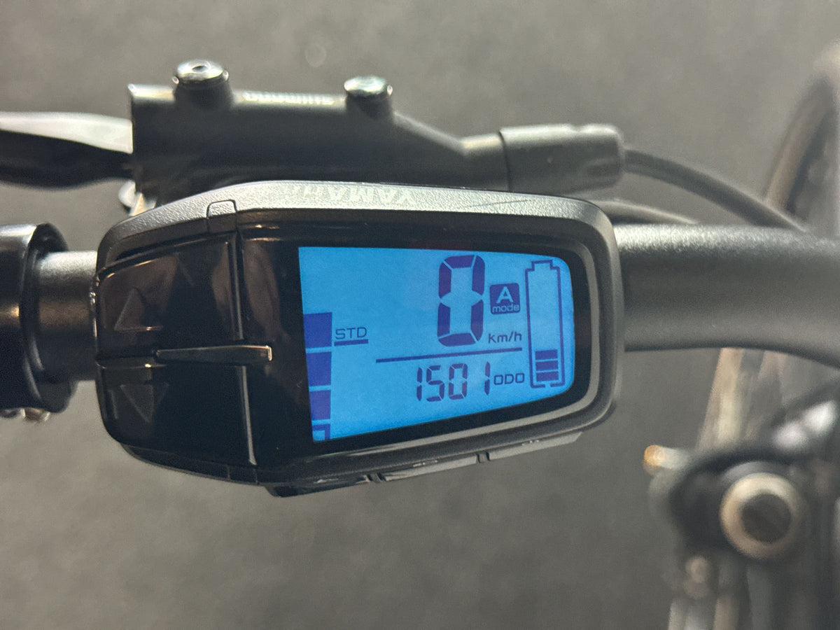 Winora Yucatan X10 gebraucht – Display