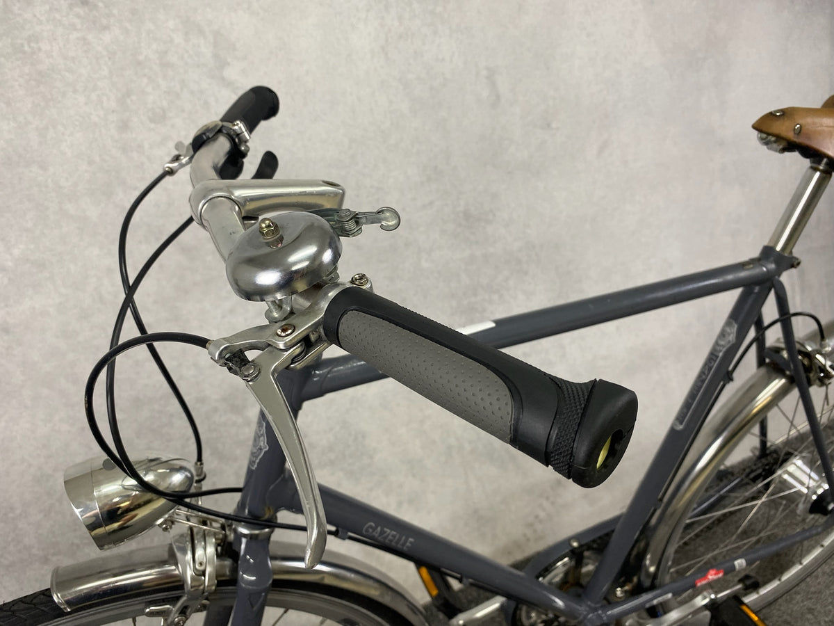 Gazelle Van Steel
