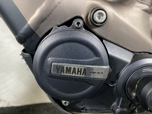 Raymon TrailRay 160E 9.0 Stone