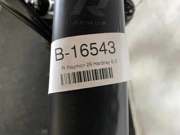 R Raymon 29 Hardray 6.0