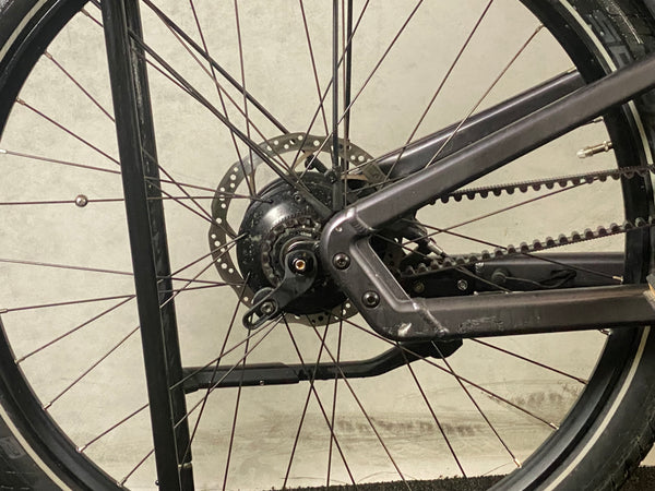 Riese & Müller deliteGT rohloff
