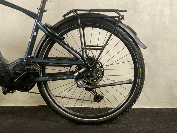 Pegasus Premio Evo 11 "40 Years"