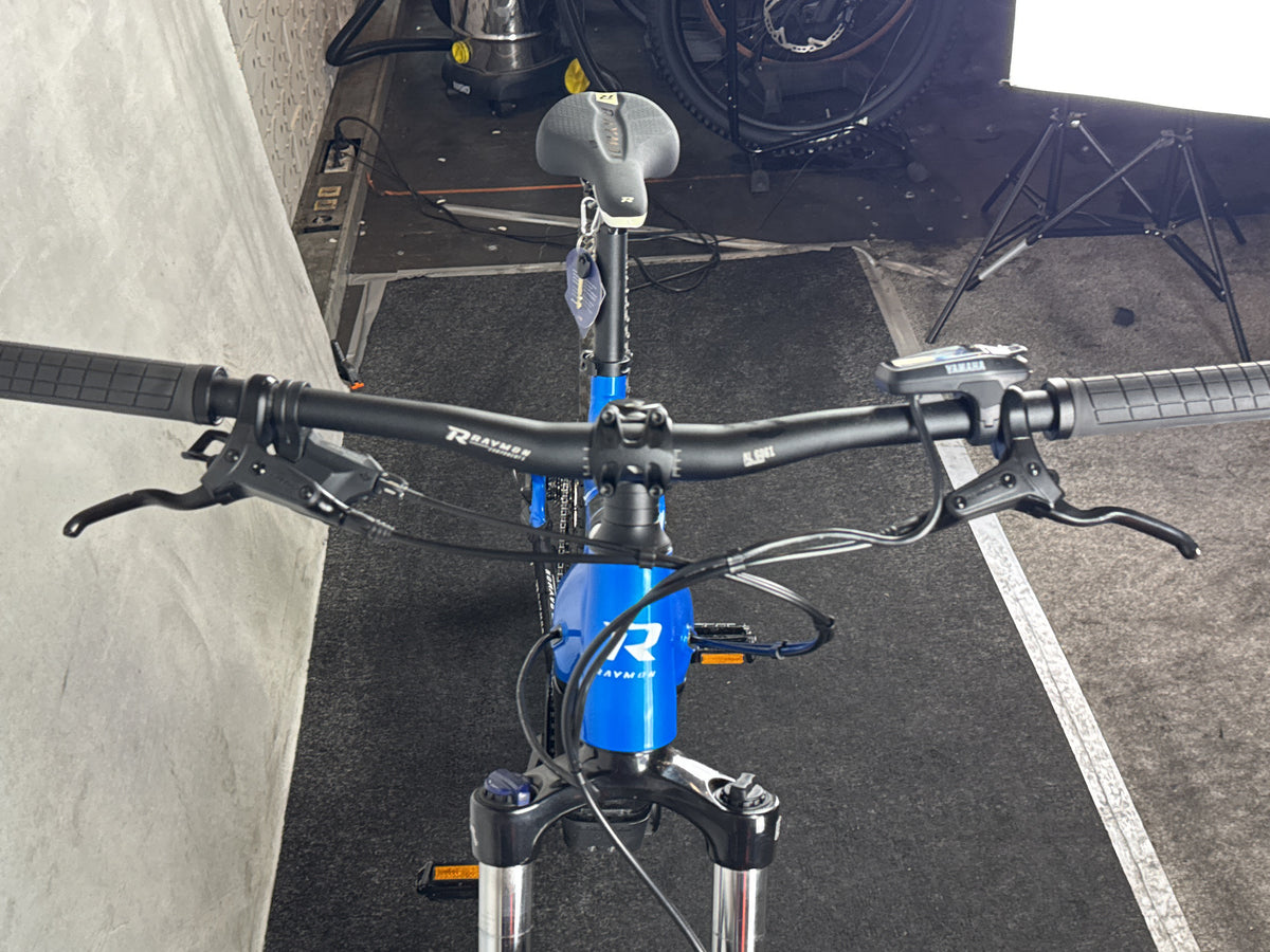 Bifoco — cockpit_von_vorne
